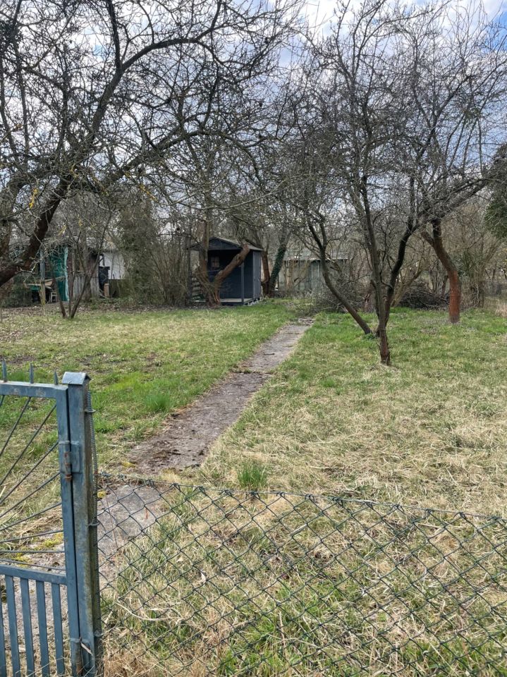 Działka rod Wrocław Krzyki. Zdjęcie 2