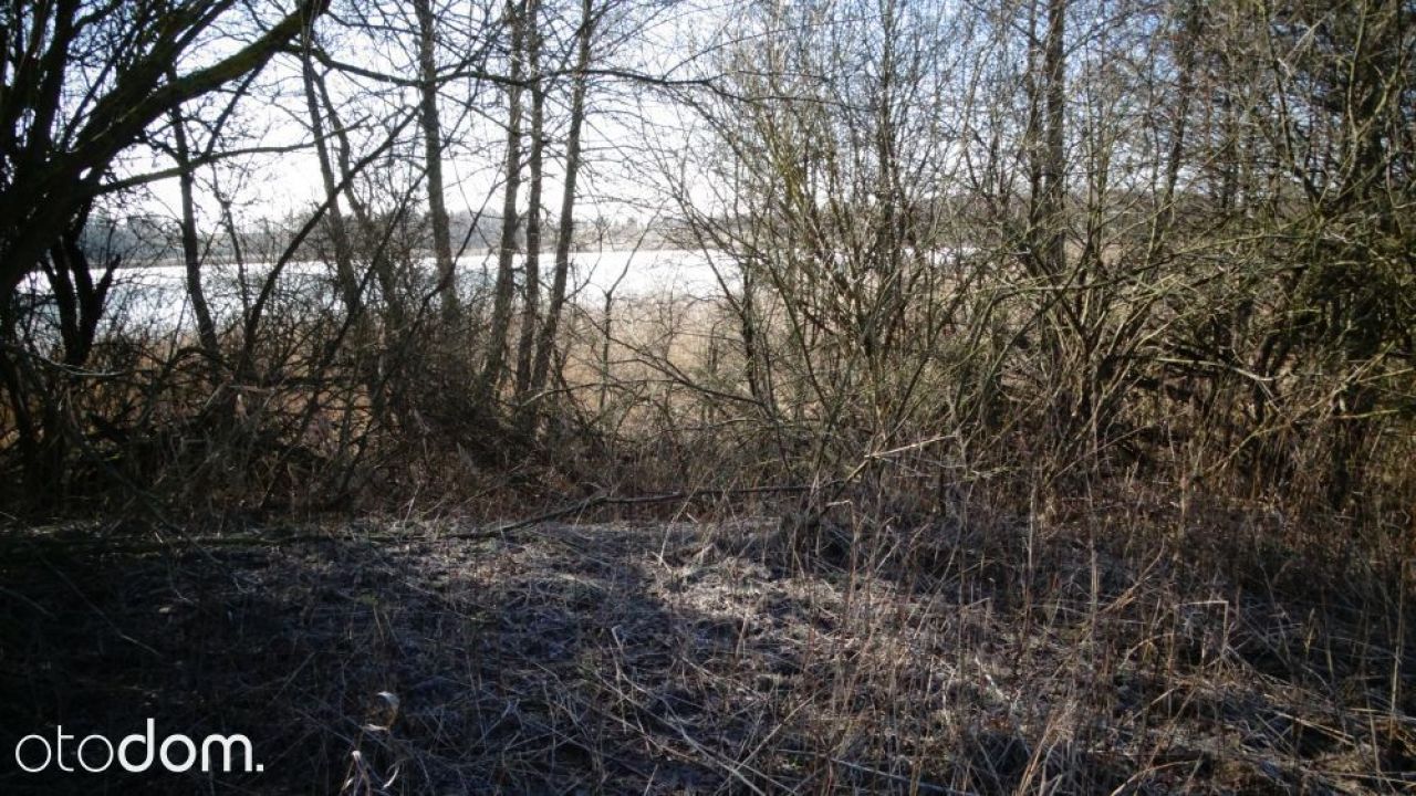 Działka rolna Przytuły. Zdjęcie 2