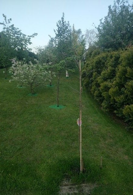 dom wolnostojący, 6 pokoi Andrychów. Zdjęcie 24