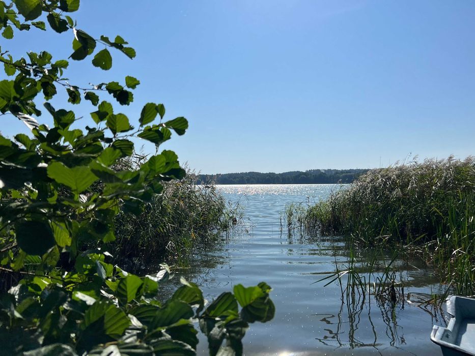 Działka budowlana Unieszewo. Zdjęcie 7