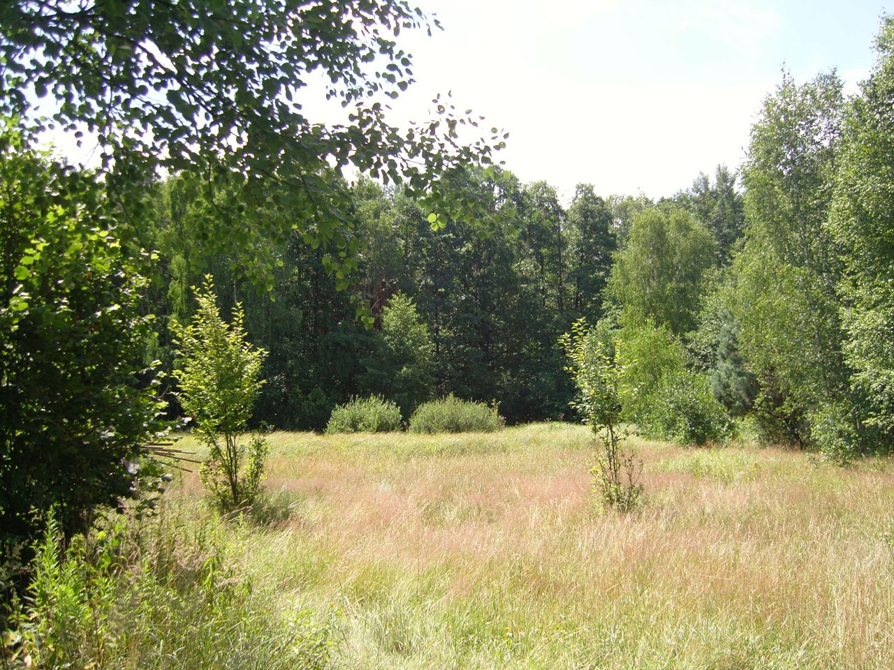 Działka inwestycyjna Kalenne. Zdjęcie 16