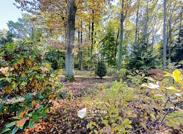 Działka budowlana Złotokłos. Zdjęcie 4