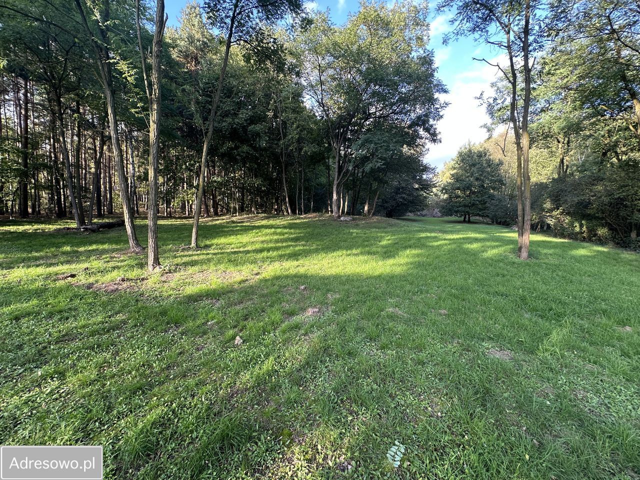 Działka budowlana Biedrzychowice Dolne. Zdjęcie 14