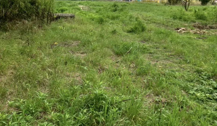 Działka budowlana Poznań Nowe Miasto, ul. Chrzanowska