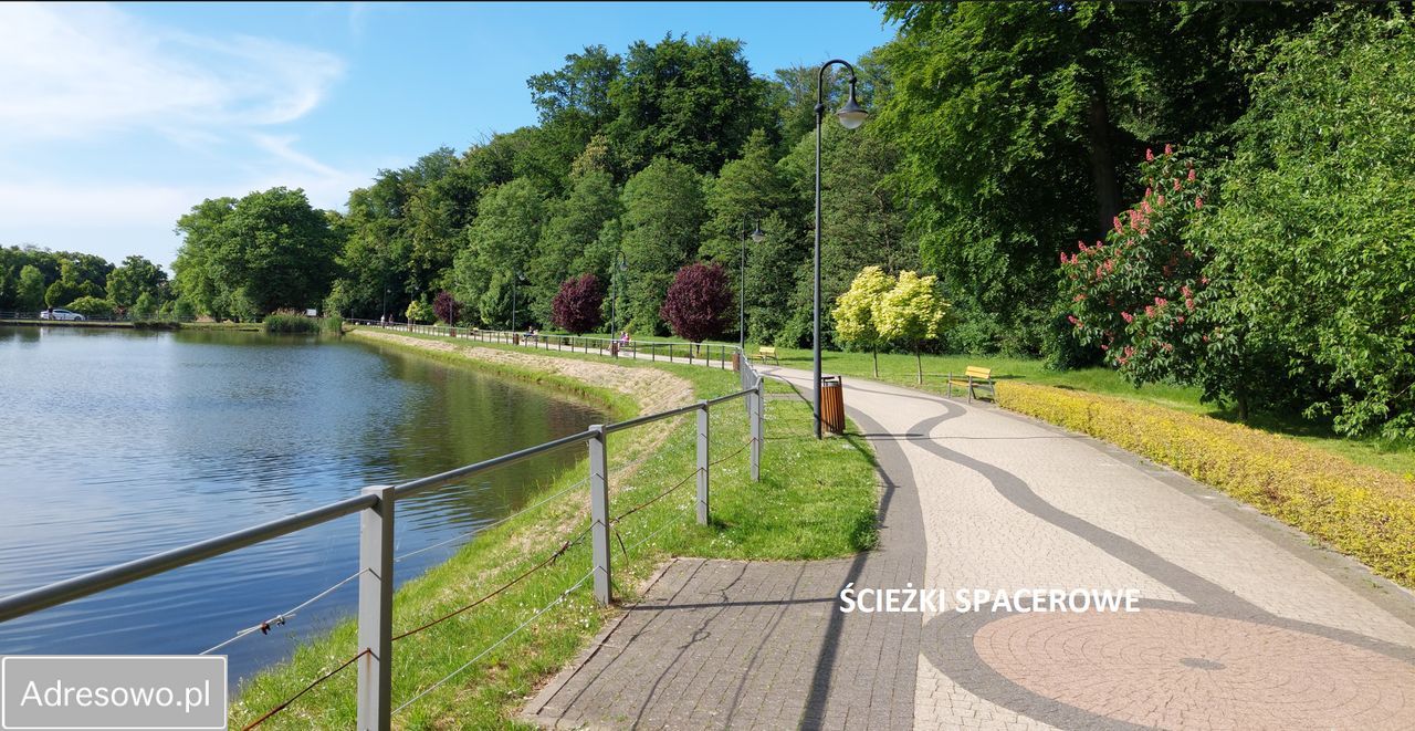 Działka inwestycyjna Trzebnica, ul. Leśna. Zdjęcie 9