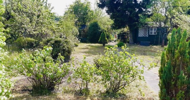 Działka rekreacyjna Wrocław Krzyki, ul. Spiska. Zdjęcie 1