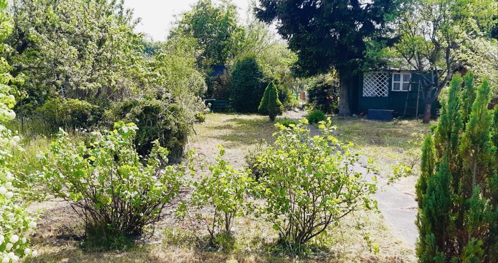 Działka rekreacyjna Wrocław Krzyki, ul. Spiska