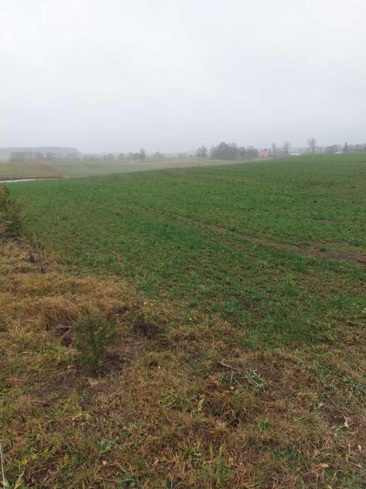 Działka budowlana Gorczyce. Zdjęcie 2