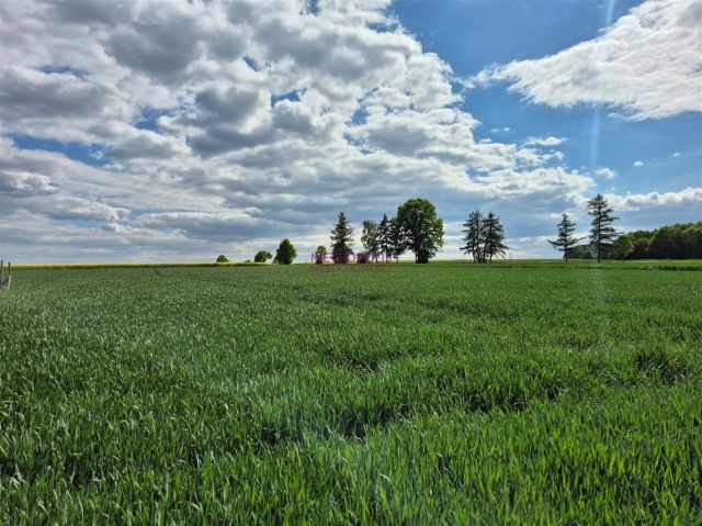 Działka Gliwice Bojków. Zdjęcie 1