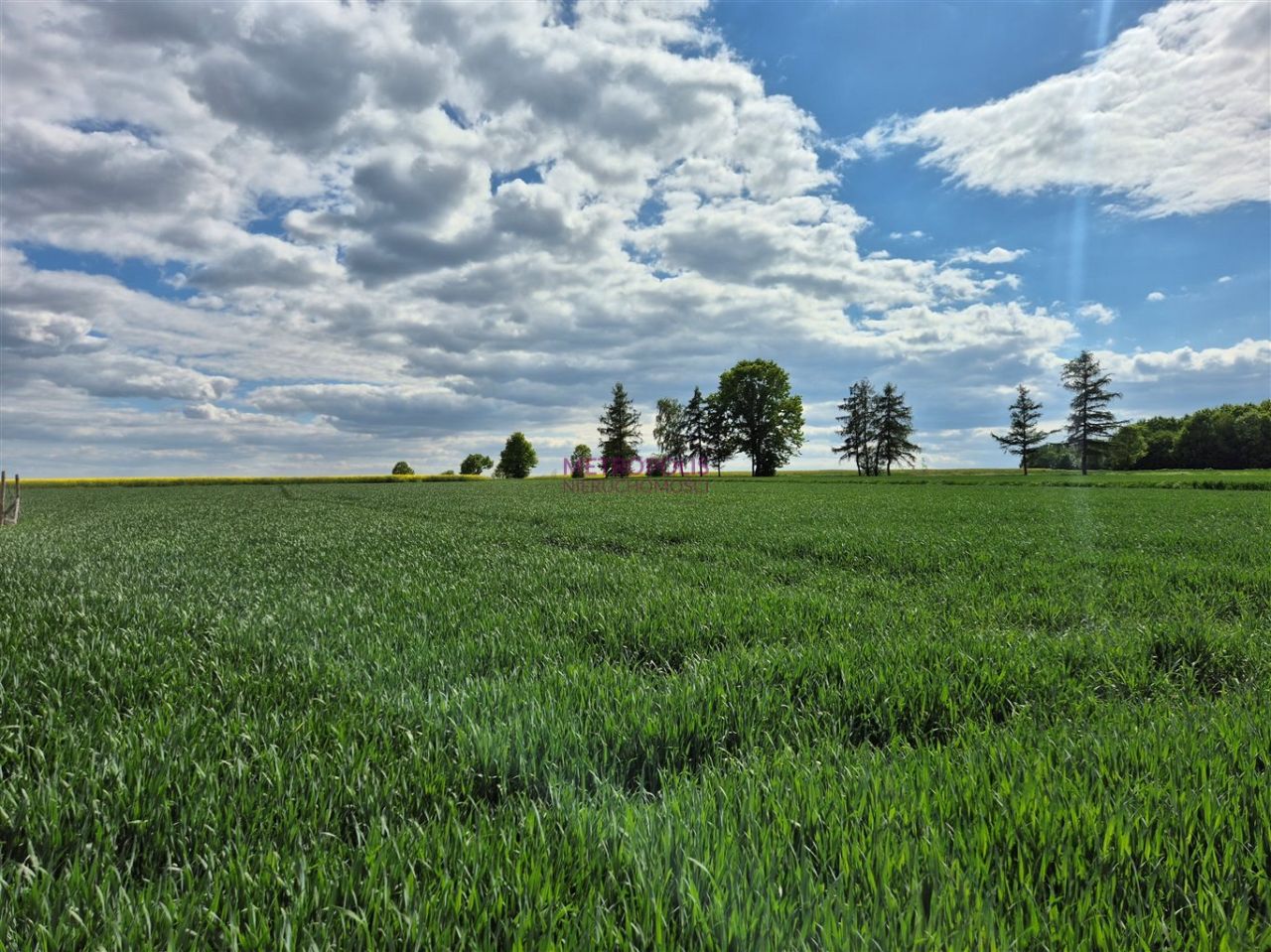 Działka Gliwice Bojków. Zdjęcie 1