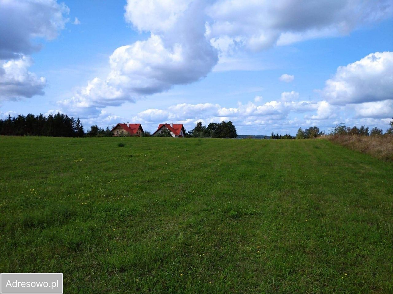 Działka budowlana Jeziorowskie. Zdjęcie 7