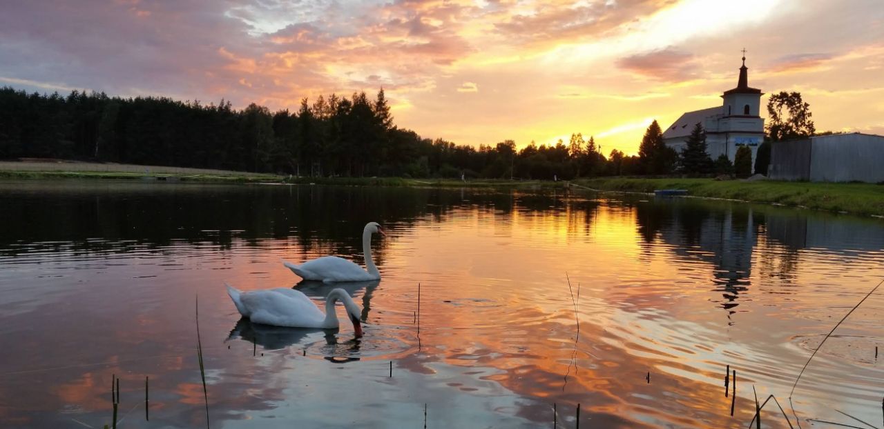 Działka budowlana Wola Goryńska. Zdjęcie 10