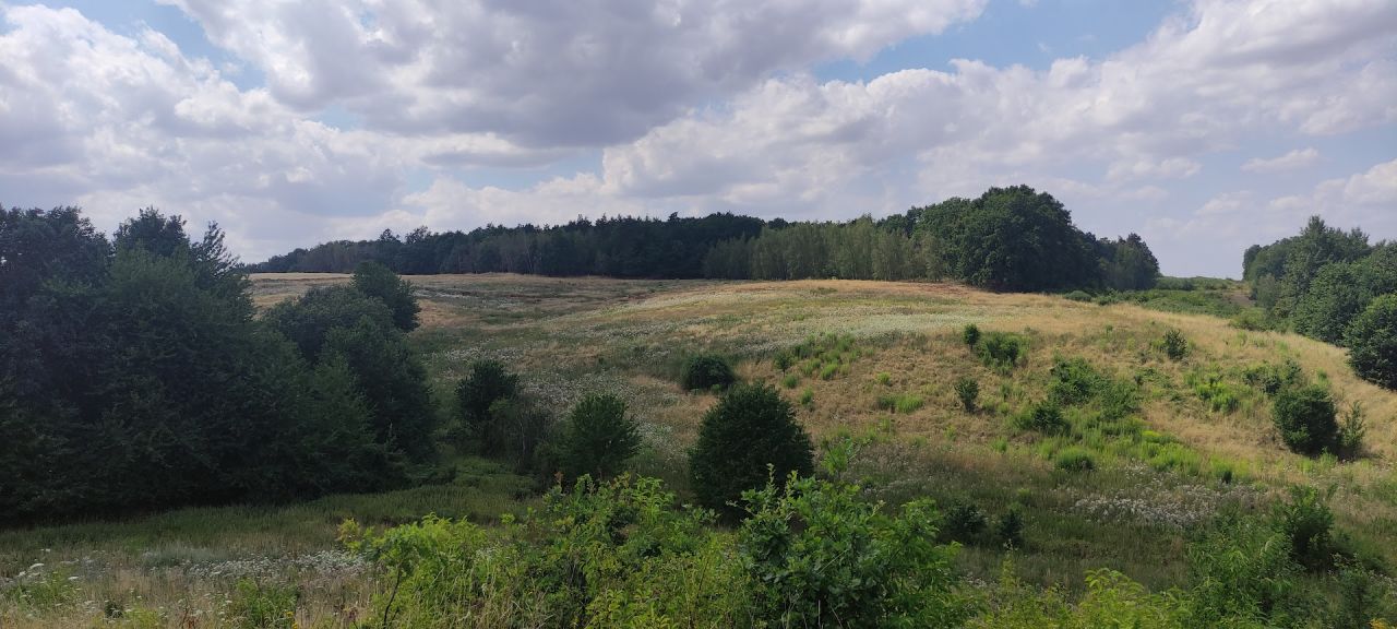 Działka rolno-budowlana Dunino. Zdjęcie 6