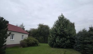 gospodarstwo Trawniki-Kolonia