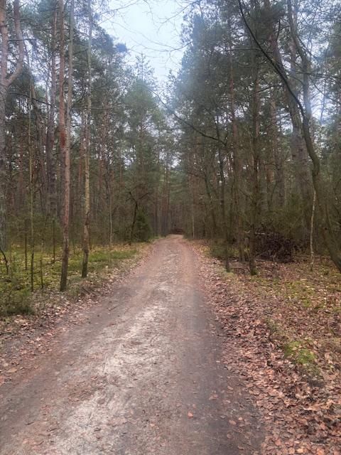 Działka leśna Osiedle Wilga, ul. Sarenek. Zdjęcie 6