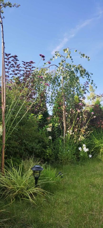 dom szeregowy, 5 pokoi Smolec, ul. Jagodowa. Zdjęcie 20