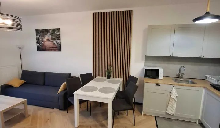 Mieszkanie 1-pokojowe Łódź Śródmieście, ul. Wólczańska