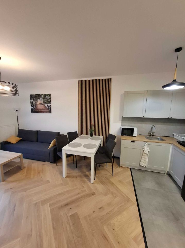 Mieszkanie 1-pokojowe Łódź Śródmieście, ul. Wólczańska. Zdjęcie 1