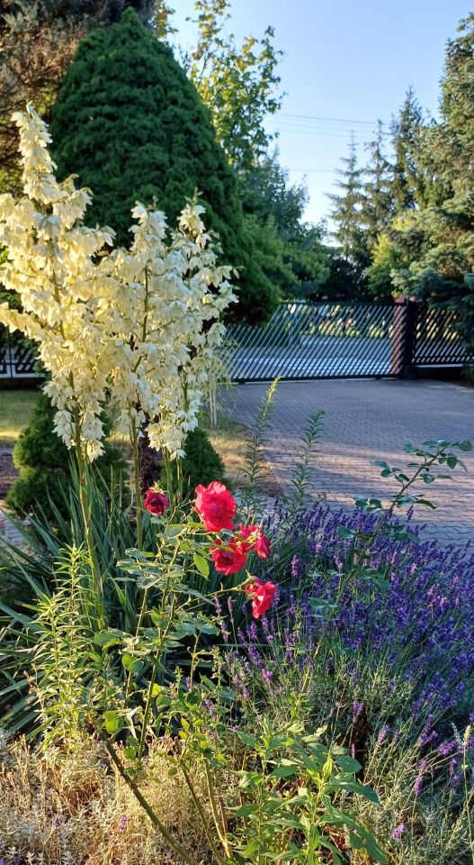 dom wolnostojący, 7 pokoi Łochów, ul. Marii Sadzewicz. Zdjęcie 12