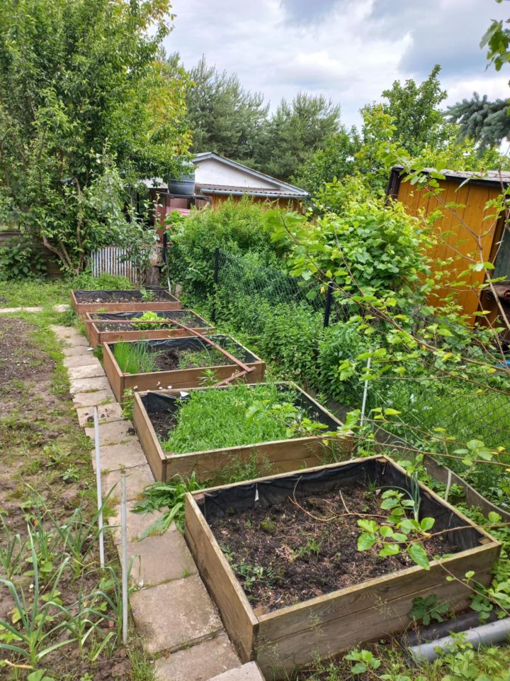 Działka rod Dys Bernatówka, ul. Bernatówka. Zdjęcie 22