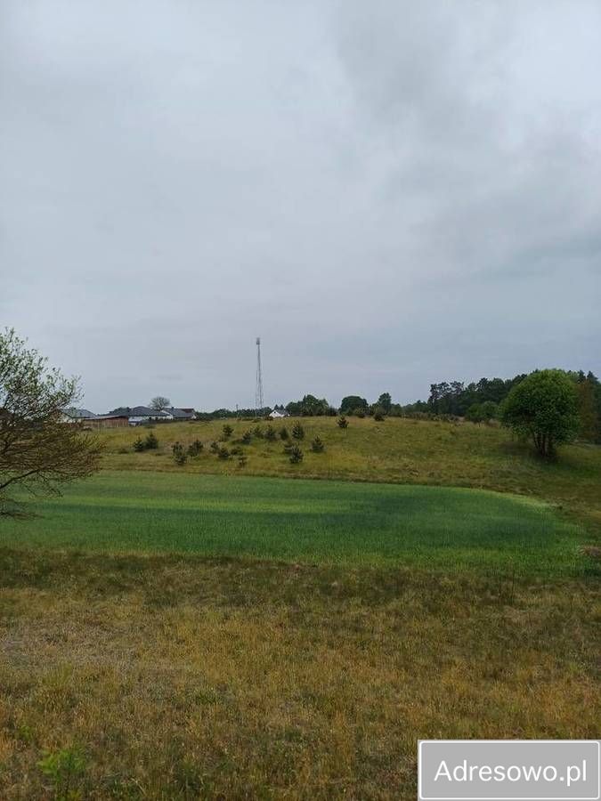 Działka inwestycyjna Kikorze. Zdjęcie 10