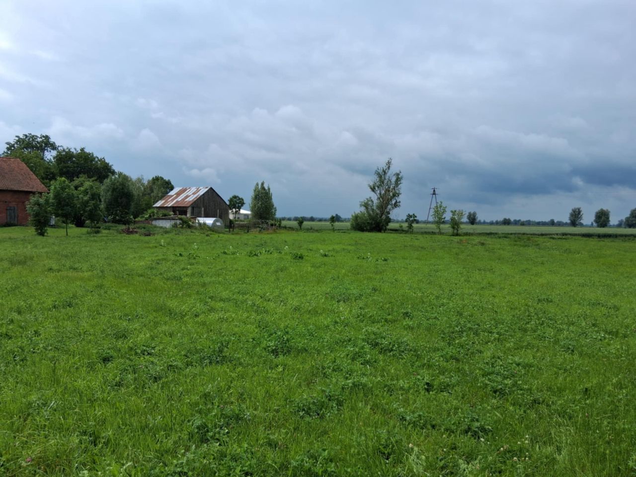 Działka rolno-budowlana Różany. Zdjęcie 3