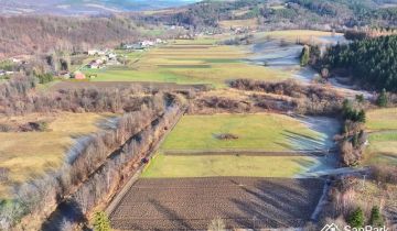 Działka siedliskowa Zahoczewie