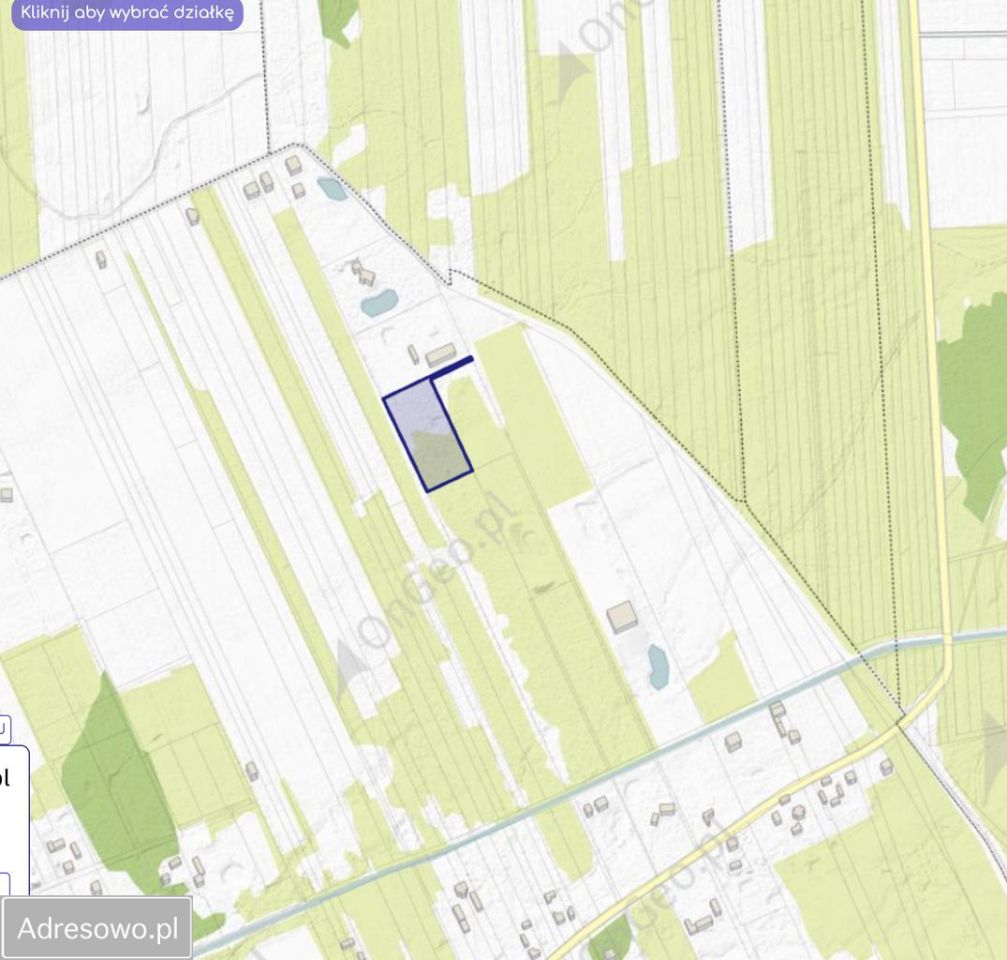 Działka rolna Brzozówka. Zdjęcie 3