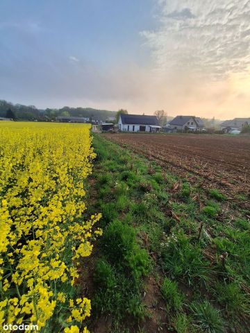 Działka budowlana Napachanie, ul. Wodna. Zdjęcie 1