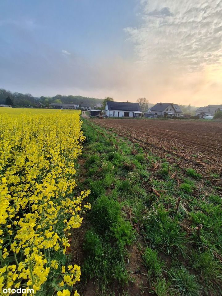 Działka budowlana Napachanie, ul. Wodna. Zdjęcie 1