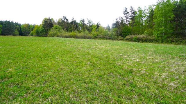 Działka rolna Kunkowa. Zdjęcie 4