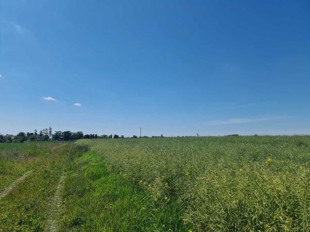 Działka budowlana Gąsawa. Zdjęcie 1