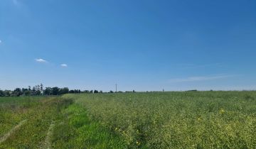 Działka budowlana Gąsawa