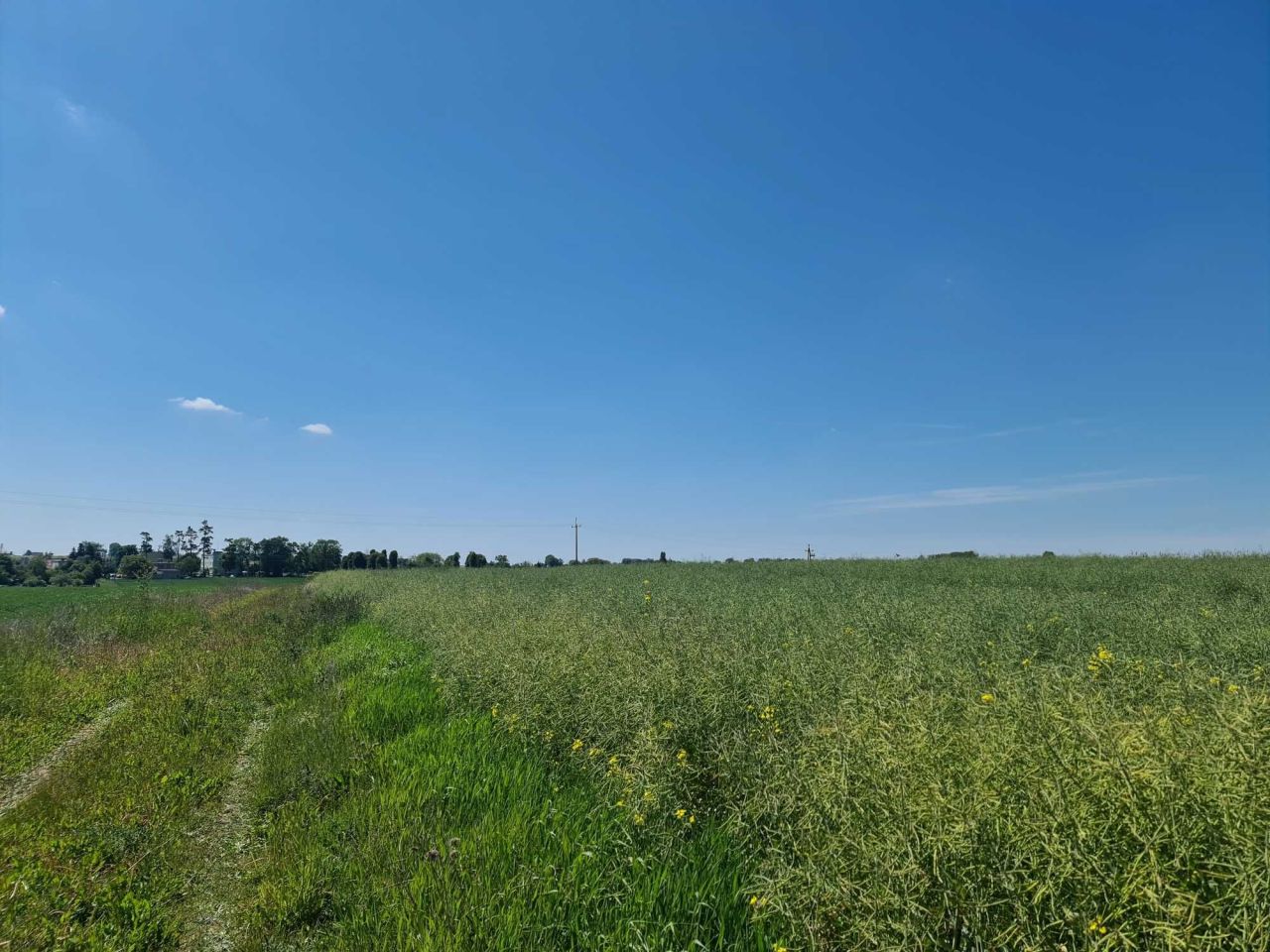 Działka budowlana Gąsawa