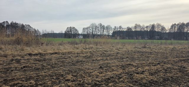 Działka rolno-budowlana Bojadła, ul. Słowikowa. Zdjęcie 1