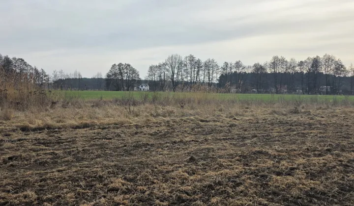 Działka rolno-budowlana Bojadła, ul. Słowikowa