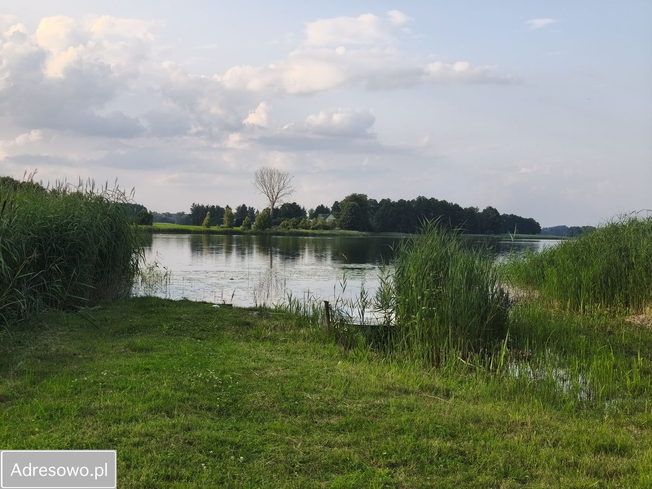 Działka siedliskowa Dreństwo. Zdjęcie 10