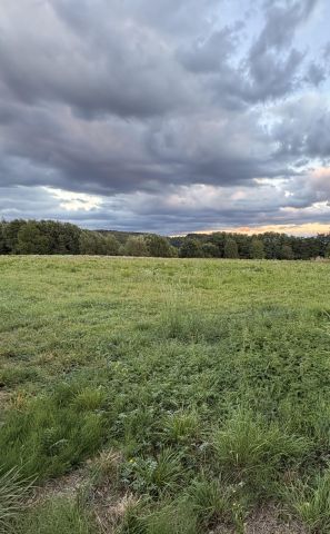 Działka rolno-budowlana Witanowice. Zdjęcie 1