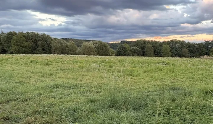 Działka rolno-budowlana Witanowice