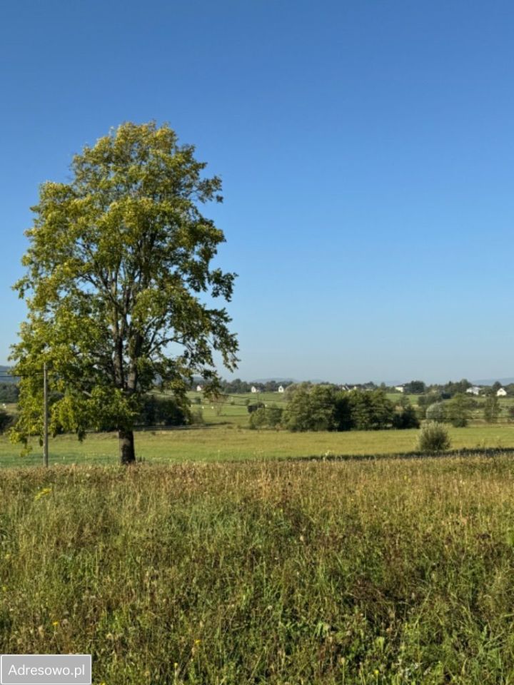 Działka budowlana Lipinki. Zdjęcie 9