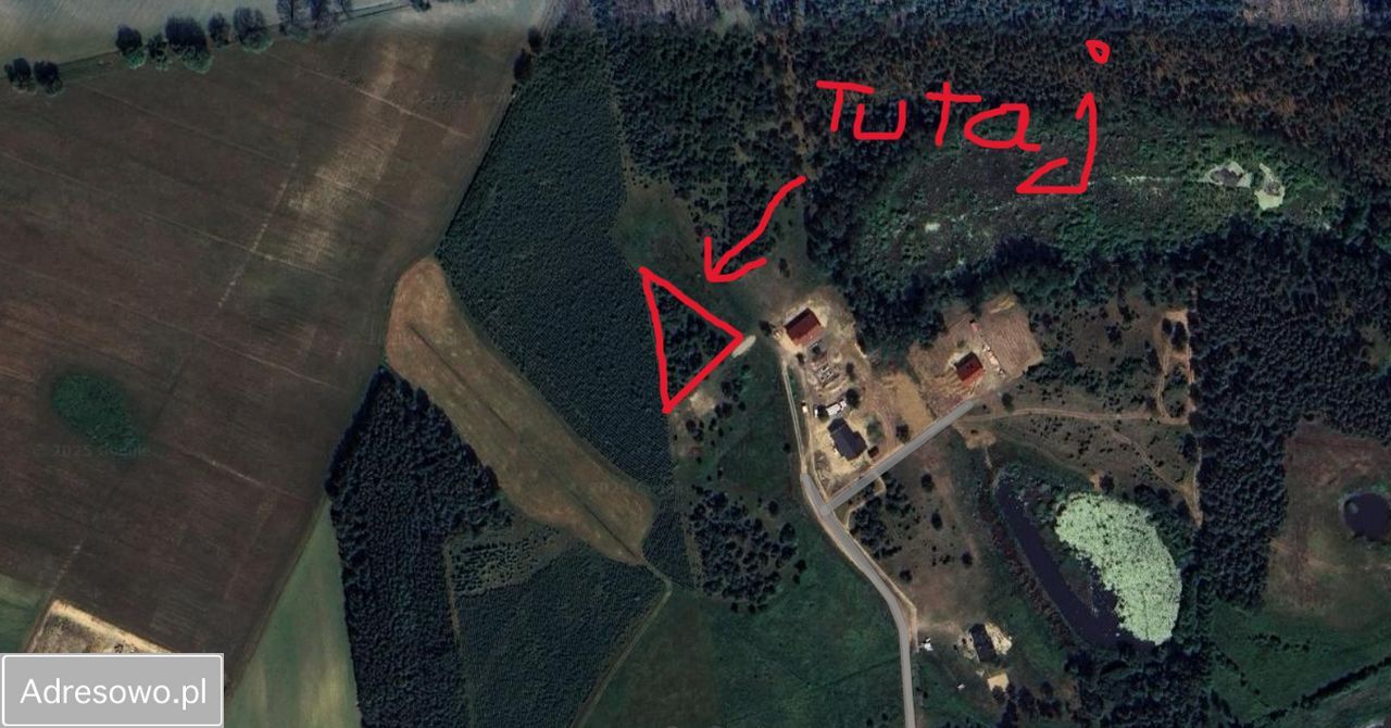 Działka budowlana Niedarzyno. Zdjęcie 4