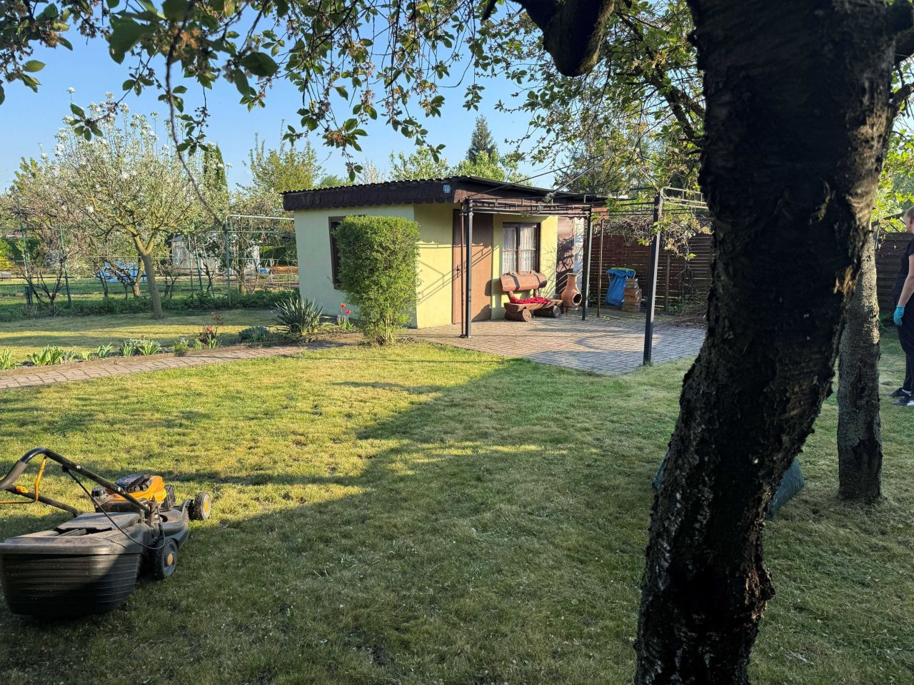 Działka rod Śrem. Zdjęcie 2