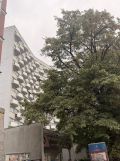 Mieszkanie 2-pokojowe Warszawa Ochota, ul. Grójecka. Zdjęcie 4