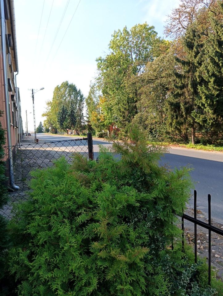 dom wolnostojący, 1 pokój Przystanki. Zdjęcie 6