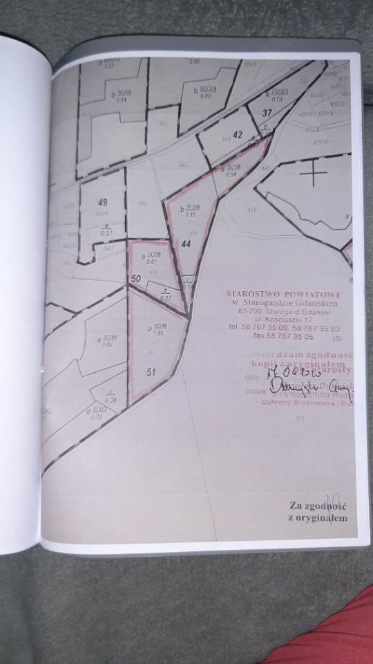 Działka leśna Borzechowo. Zdjęcie 4