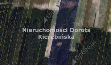 Działka rolna Poświętne