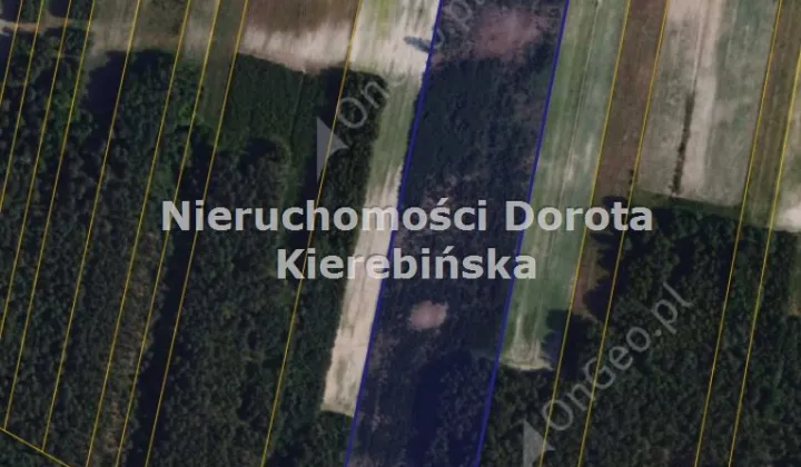 Działka rolna Poświętne