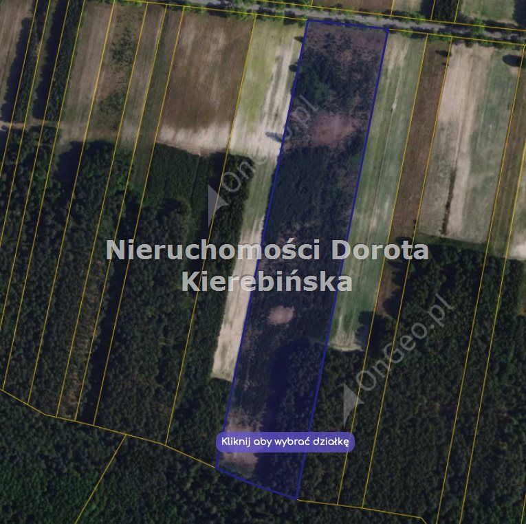 Działka rolna Poświętne