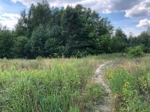 Działka inwestycyjna Nieporęt, ul. Stokrotki. Zdjęcie 4