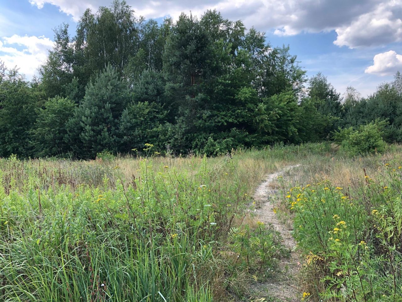 Działka inwestycyjna Nieporęt, ul. Stokrotki. Zdjęcie 5